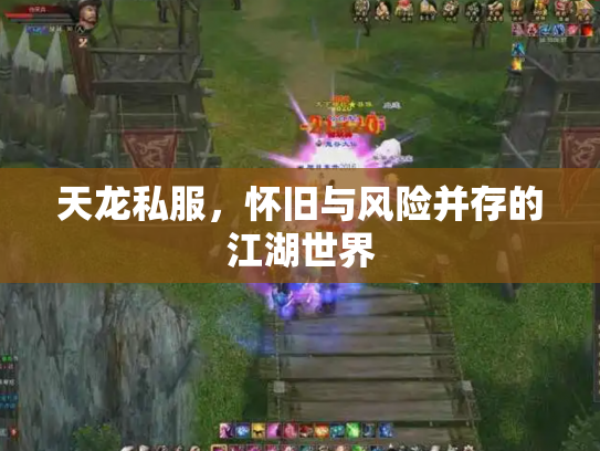 天龙私服，怀旧与风险并存的江湖世界