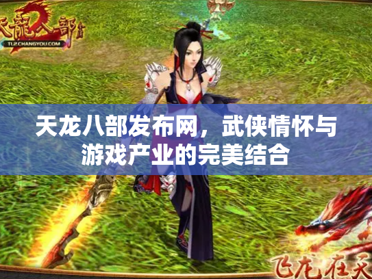 天龙八部发布网，武侠情怀与游戏产业的完美结合