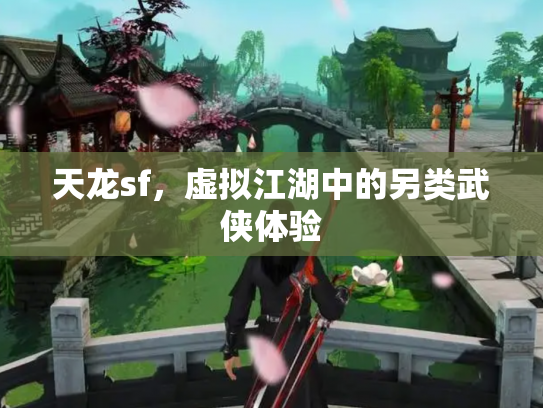 天龙sf，虚拟江湖中的另类武侠体验
