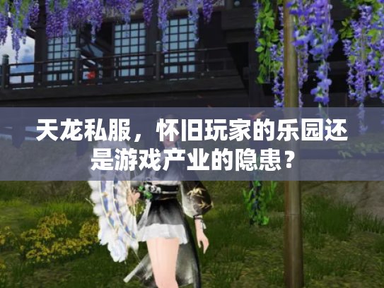 天龙私服，怀旧玩家的乐园还是游戏产业的隐患？