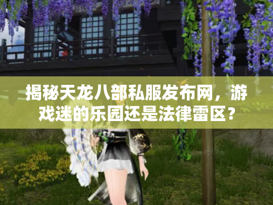揭秘天龙八部私服发布网，游戏迷的乐园还是法律雷区？