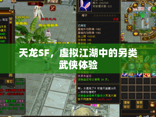 天龙SF，虚拟江湖中的另类武侠体验