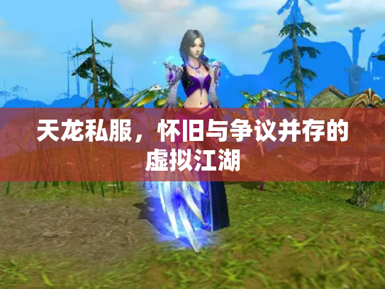 天龙私服，怀旧与争议并存的虚拟江湖