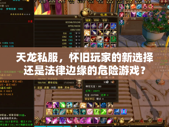 天龙私服，怀旧玩家的新选择还是法律边缘的危险游戏？