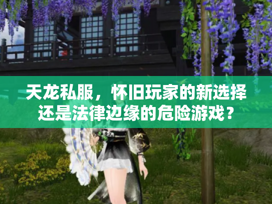 天龙私服，怀旧玩家的新选择还是法律边缘的危险游戏？