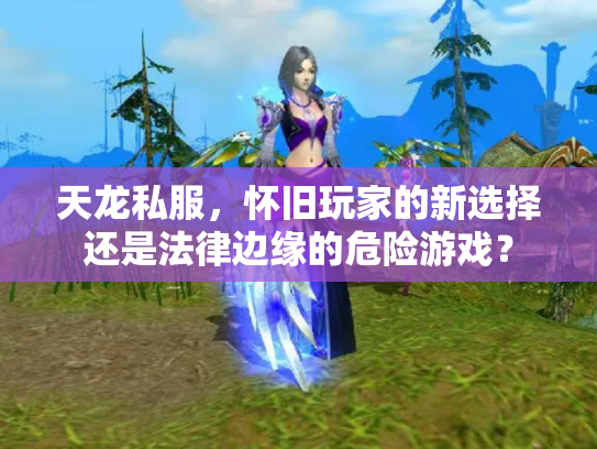 天龙私服，怀旧玩家的新选择还是法律边缘的危险游戏？