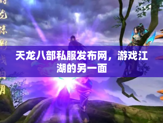 天龙八部私服发布网，游戏江湖的另一面