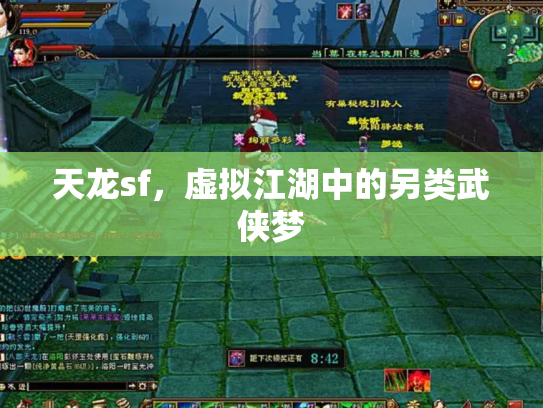 天龙sf，虚拟江湖中的另类武侠梦