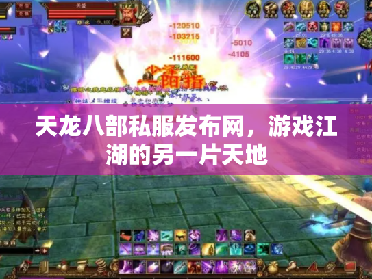 天龙八部私服发布网，游戏江湖的另一片天地