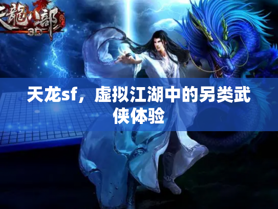 天龙sf，虚拟江湖中的另类武侠体验