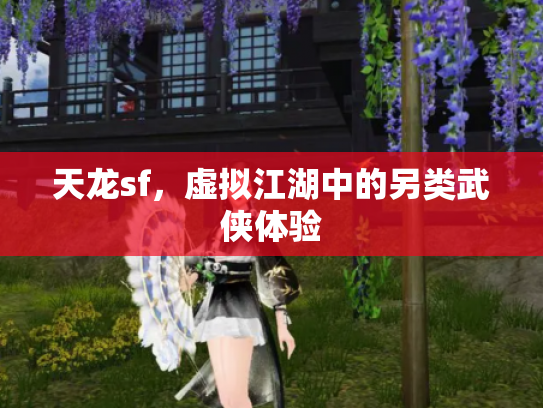 天龙sf，虚拟江湖中的另类武侠体验