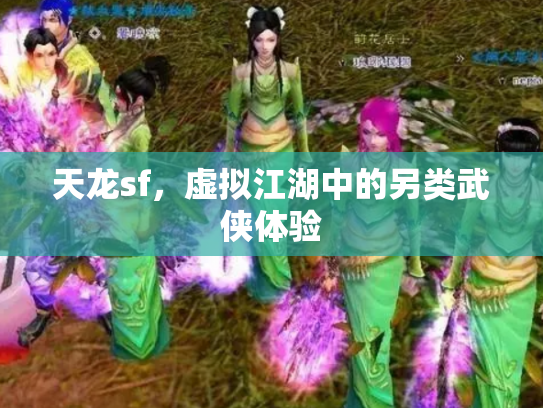 天龙sf，虚拟江湖中的另类武侠体验
