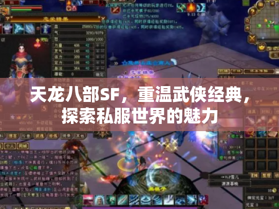 天龙八部SF，重温武侠经典，探索私服世界的魅力