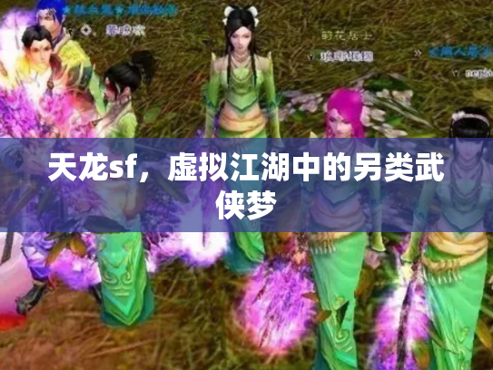 天龙sf，虚拟江湖中的另类武侠梦