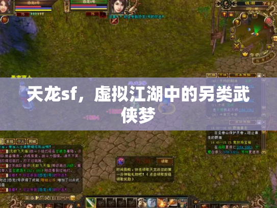 天龙sf，虚拟江湖中的另类武侠梦