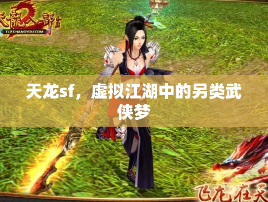 天龙sf，虚拟江湖中的另类武侠梦