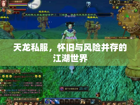 天龙私服，怀旧与风险并存的江湖世界