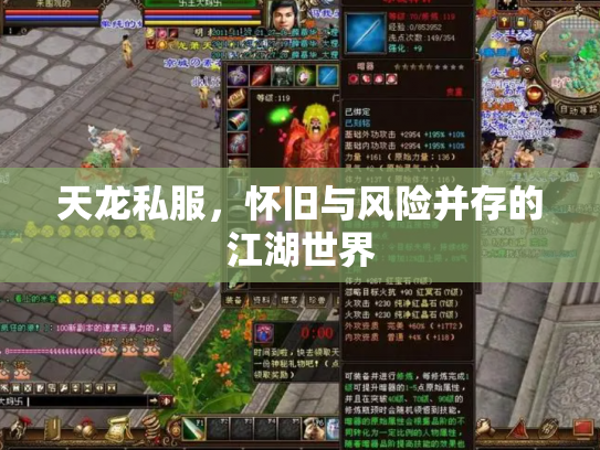 天龙私服，怀旧与风险并存的江湖世界