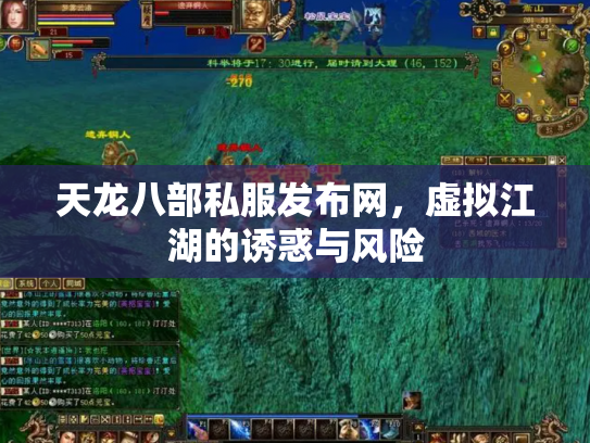 天龙八部私服发布网，虚拟江湖的诱惑与风险