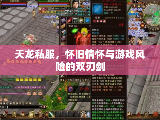 天龙私服，怀旧情怀与游戏风险的双刃剑