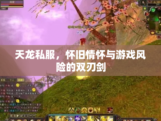 天龙私服，怀旧情怀与游戏风险的双刃剑