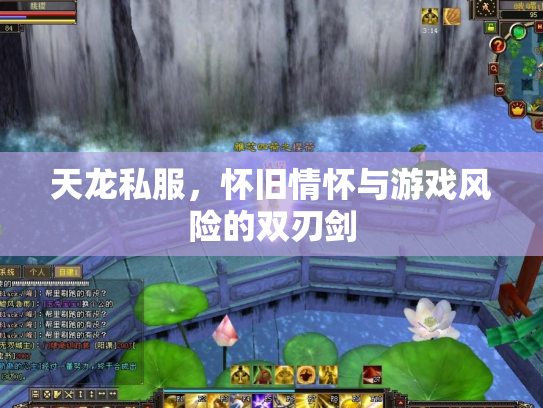 天龙私服，怀旧情怀与游戏风险的双刃剑