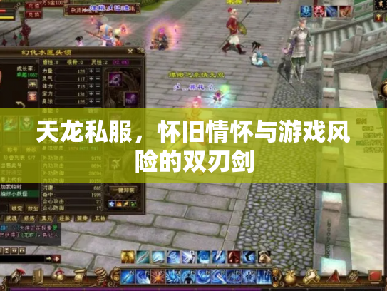 天龙私服，怀旧情怀与游戏风险的双刃剑