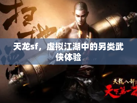 天龙sf，虚拟江湖中的另类武侠体验