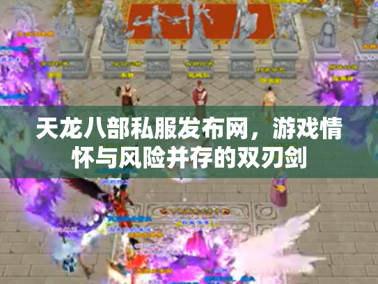 天龙八部私服发布网，游戏情怀与风险并存的双刃剑