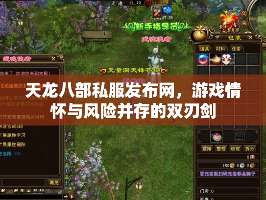天龙八部私服发布网，游戏情怀与风险并存的双刃剑