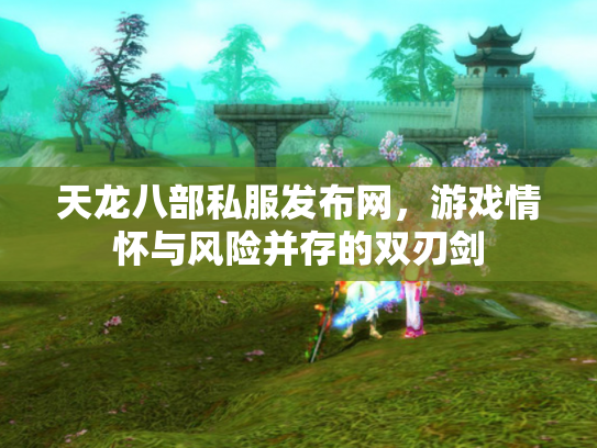 天龙八部私服发布网，游戏情怀与风险并存的双刃剑