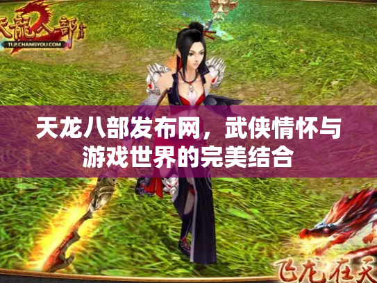 天龙八部发布网，武侠情怀与游戏世界的完美结合