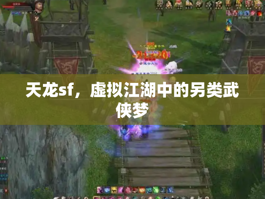 天龙sf，虚拟江湖中的另类武侠梦