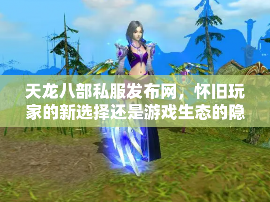 天龙八部私服发布网，怀旧玩家的新选择还是游戏生态的隐患？