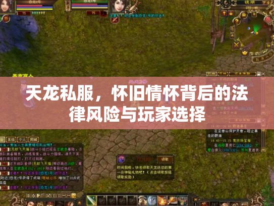 天龙私服，怀旧情怀背后的法律风险与玩家选择