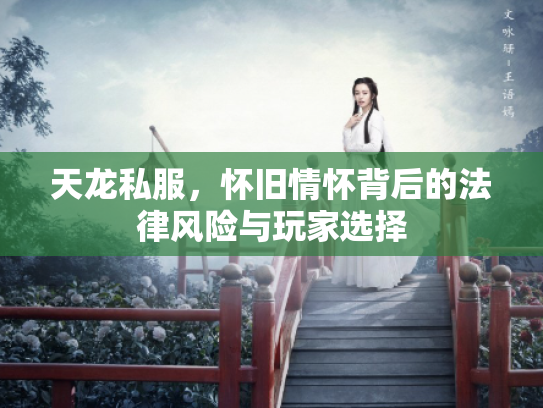 天龙私服，怀旧情怀背后的法律风险与玩家选择