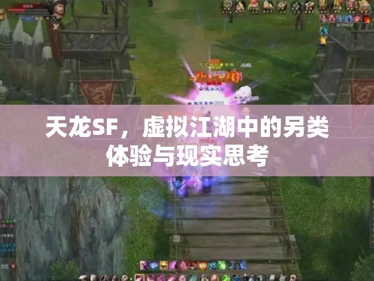 天龙SF，虚拟江湖中的另类体验与现实思考