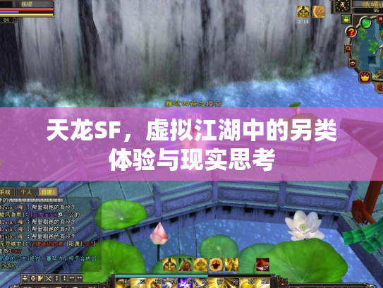天龙SF，虚拟江湖中的另类体验与现实思考