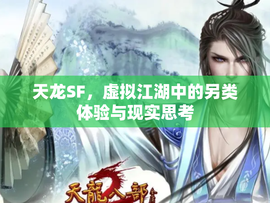 天龙SF，虚拟江湖中的另类体验与现实思考