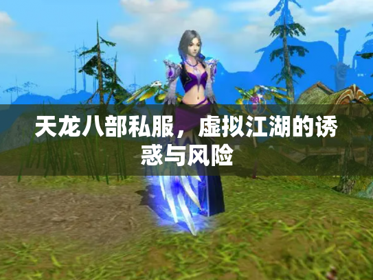 天龙八部私服，虚拟江湖的诱惑与风险