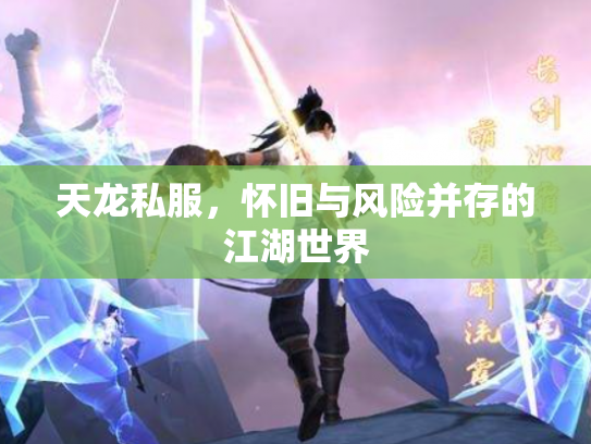 天龙私服，怀旧与风险并存的江湖世界