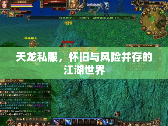 天龙私服，怀旧与风险并存的江湖世界