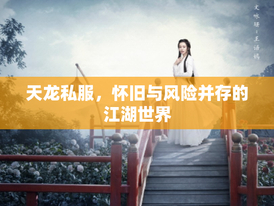 天龙私服，怀旧与风险并存的江湖世界