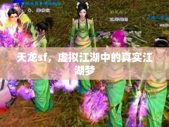 天龙sf，虚拟江湖中的真实江湖梦