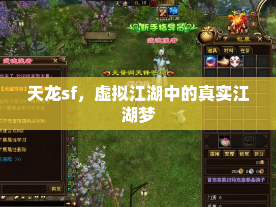 天龙sf，虚拟江湖中的真实江湖梦