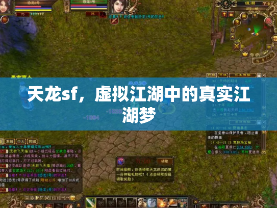 天龙sf，虚拟江湖中的真实江湖梦