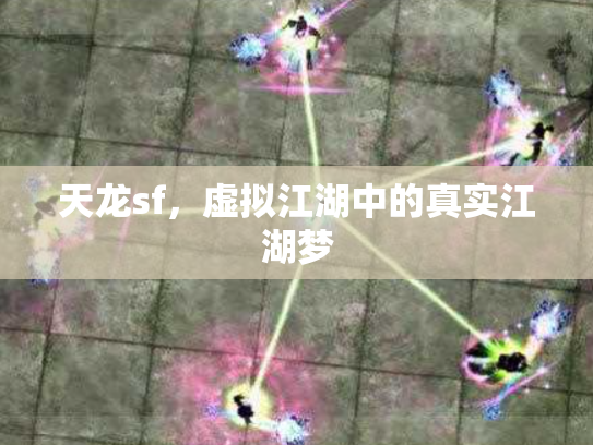 天龙sf，虚拟江湖中的真实江湖梦