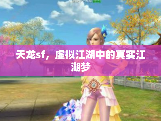 天龙sf，虚拟江湖中的真实江湖梦