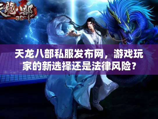 天龙八部私服发布网，游戏玩家的新选择还是法律风险？