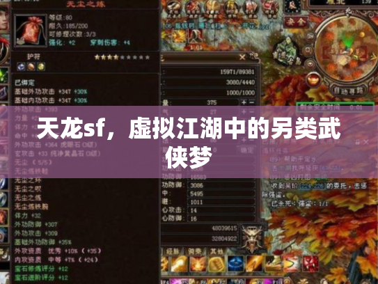 天龙sf，虚拟江湖中的另类武侠梦